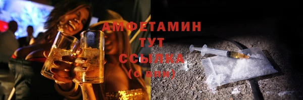мдпв Бронницы