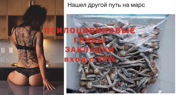COCAINE Бородино