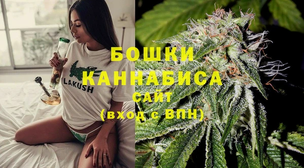 мдпв Бронницы