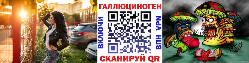 Псилоцибиновые грибы Psilocybe  что такое   Демидов 
